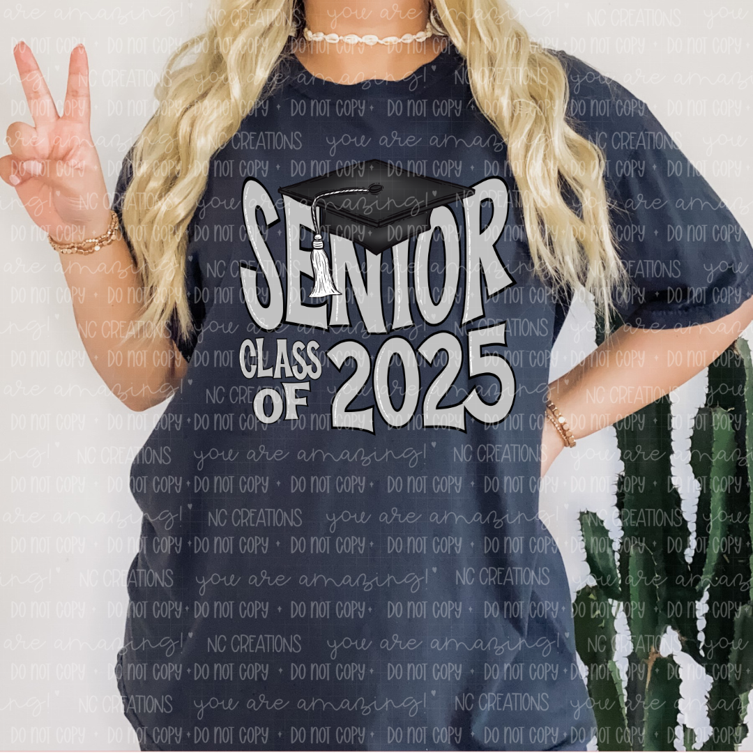 Senior 2025 Cap Gray