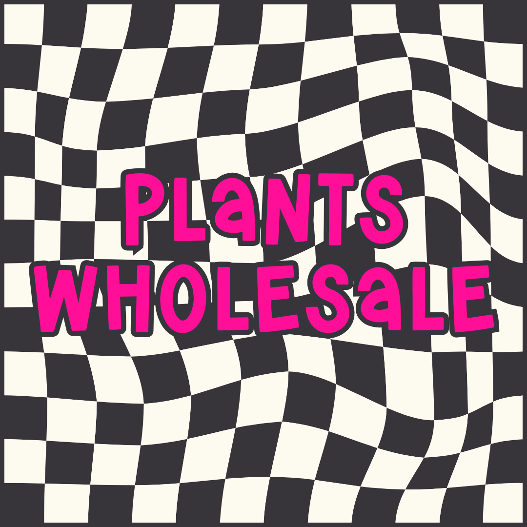 Plant Life Wholesale