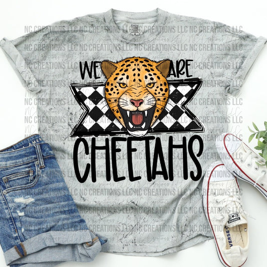 We Are Cheetahs Mascot