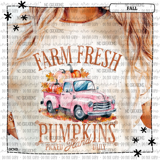 Farm Fresh Pumpkins Hand Picked Daily