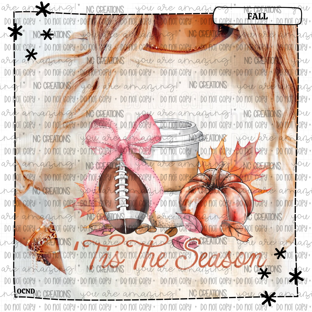 Tis The Season Fall & Football Bow