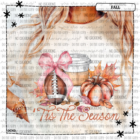 Tis The Season Fall & Football Bow